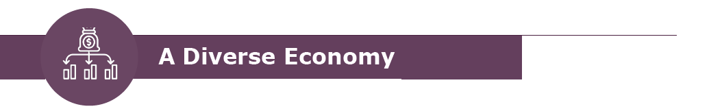 diverse economy banner