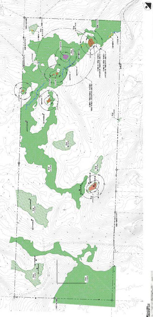 Town Hill parcel vernal pool and wetland map 3