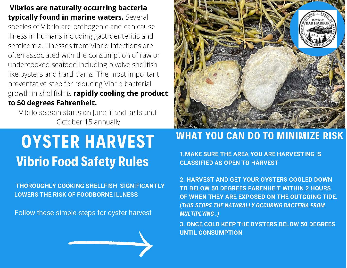 Vibrio info sheet V2